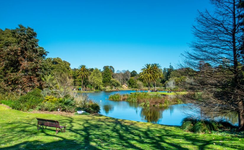 Urban Eden: How Landscape Architects Shape Gardens in Melbourne